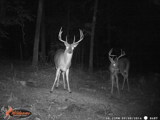Property photo 15 - REAL ESTATE AUCTION - 1,000+/- ACRES OFFERED IN 10 TRACTS IN PITTSBURG CO., OKLAHOMA